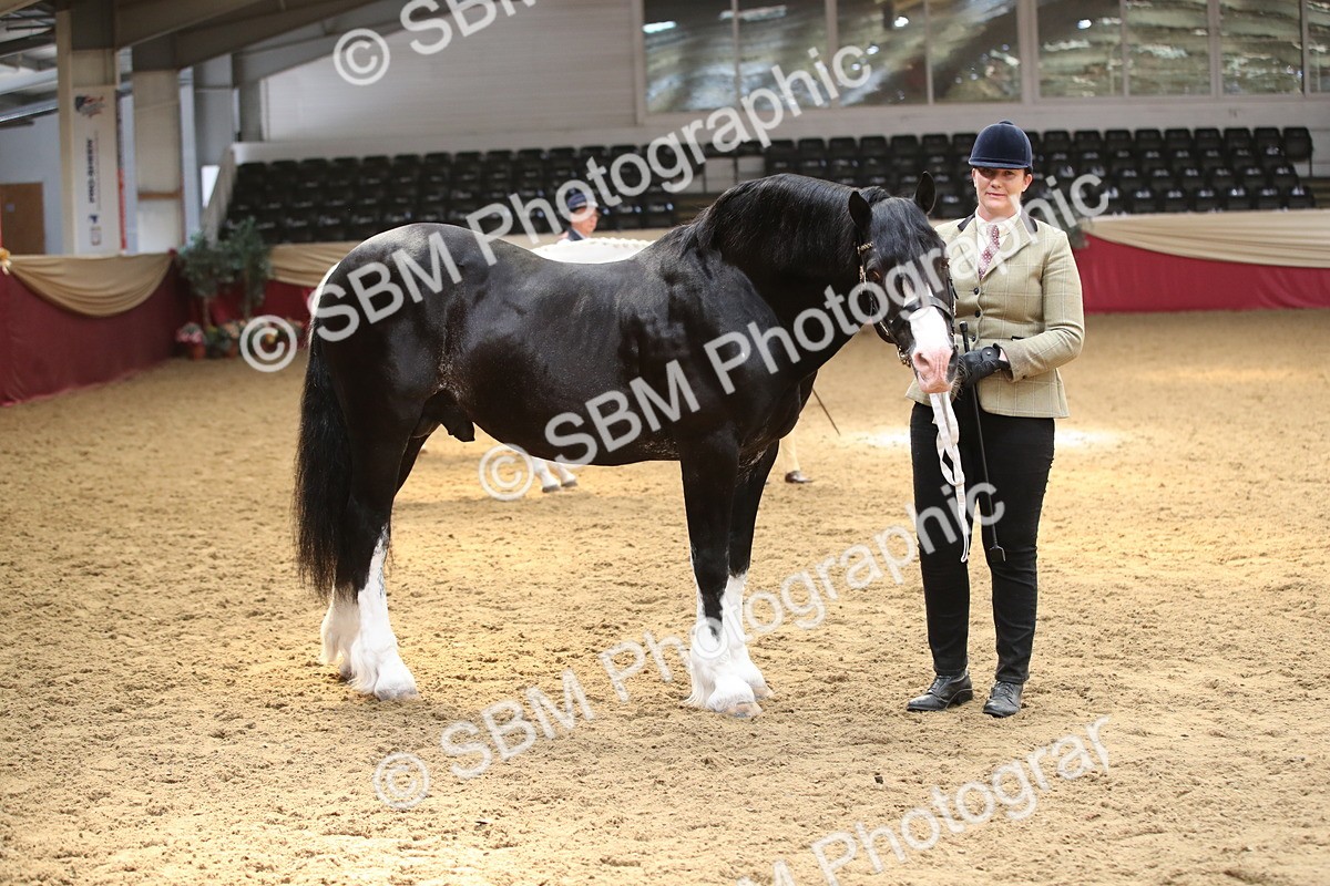 SBM_05346 - Class 8R - Regional IH Veteran