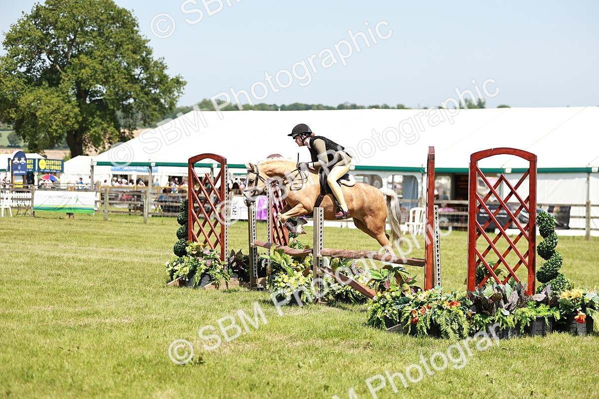 SBM_15666 - Class 108-109 - BSPS LIHS Open Gradle & Nursery Stakes