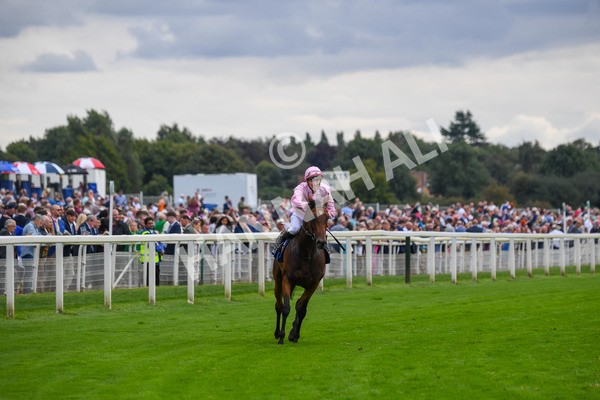 240823-Race 4-Warm Heart-0551 - Race 4 3.35pm Pertemps Network Yorkshire Oaks