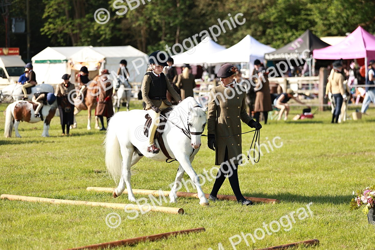 SBM_11254 - Class 106-107 - BSPS LIHS Working Sports Pony