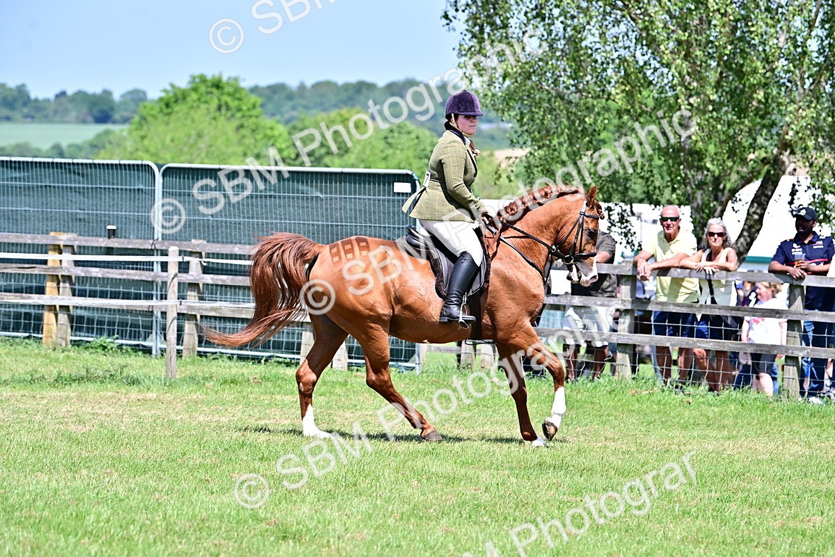 SBM_17410 - Class 95-97 - BSPS LHS Performance Ponies