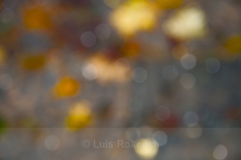  - Abstract