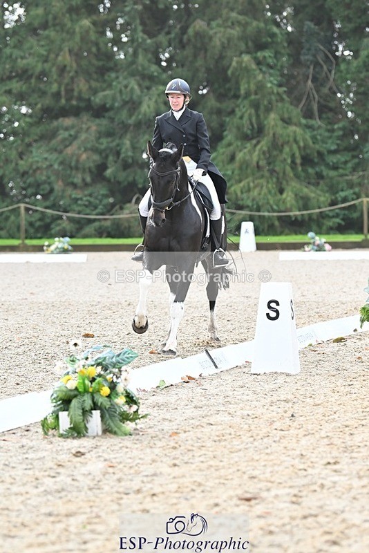 231019-103536-01900 - 101-RICARDO.COLOURS.II-Elizabeth.Wadey-DR