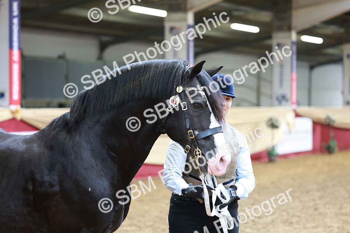 SBM_17487 - Class 951 - M&M IH Supreme Final