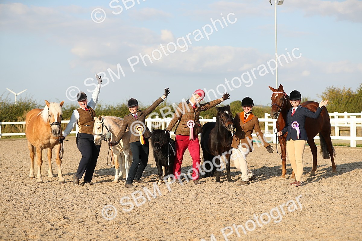 SBM_09171 - Class 29 IH Veteran Pony