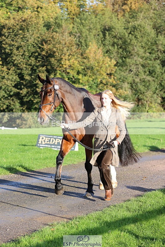 251026A-093808-22386 - E-398-Fenella.Redvers