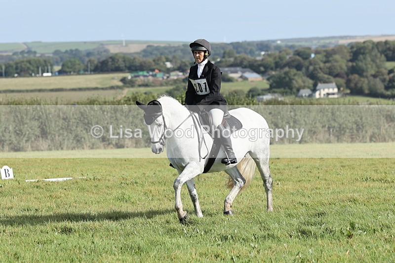 JPP_8065 - Class 2A: Trekenning Open: Dressage