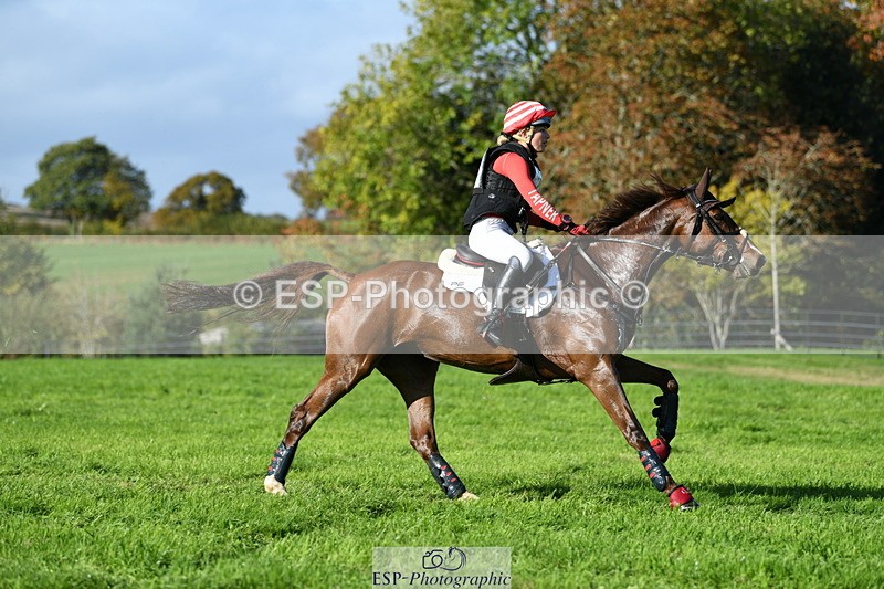 251024A-143545-13458 - C-206-Madison.Tapner