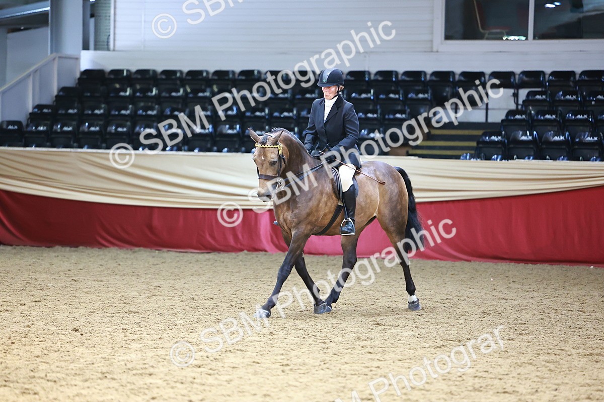 SBM_24012 - Class 905 - Supreme Final - Ridden Veteran