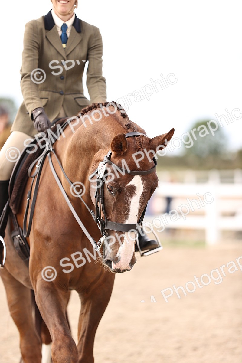SBM_18201 - Class 423 - Equitation (best rider) Adult