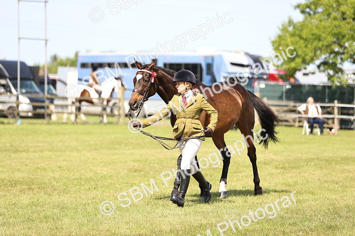 SBM_13032 - Class 75-76 LIHS BSHA Rising Star Hack Riding Horse