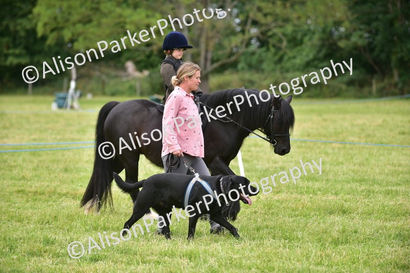 20260614-4524 - Class 19 - Cutest Pony, Rider and Dog Combination