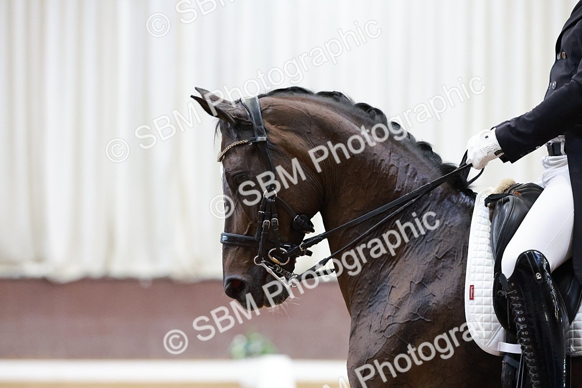 SBM_016643 - Class 5 - FEI INT II - 17.24-18.20