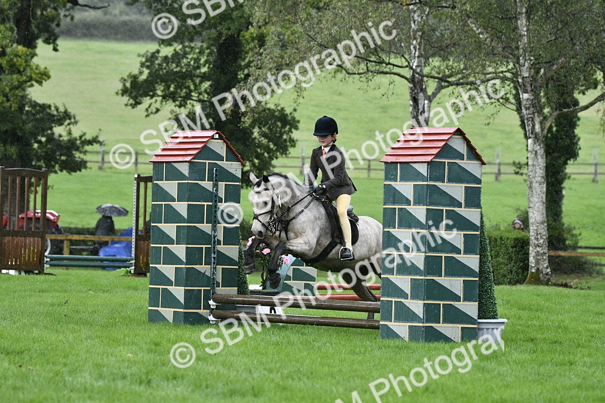 SBM_35519 - S30 - Nursery Stakes Working Hunter Pony