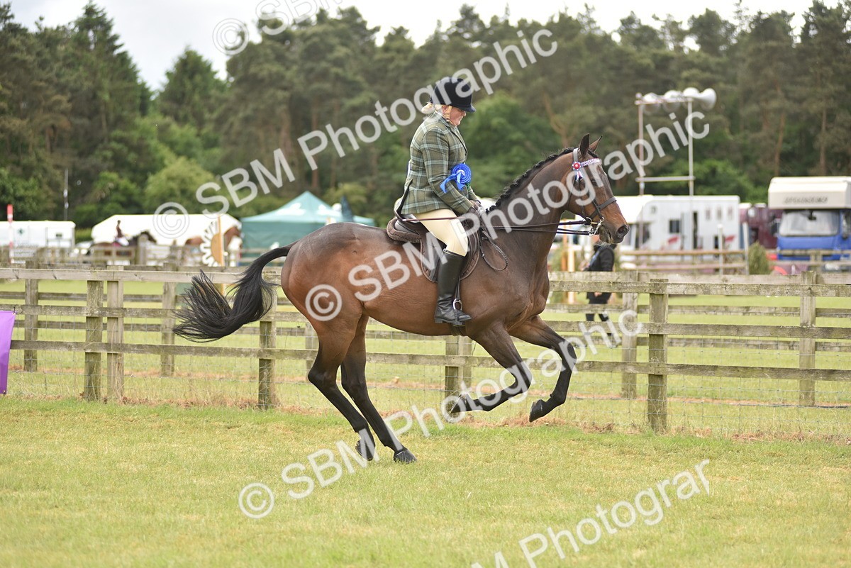 SBM_14285 - Class 113-114 - Retraining of Racehorses Ridden