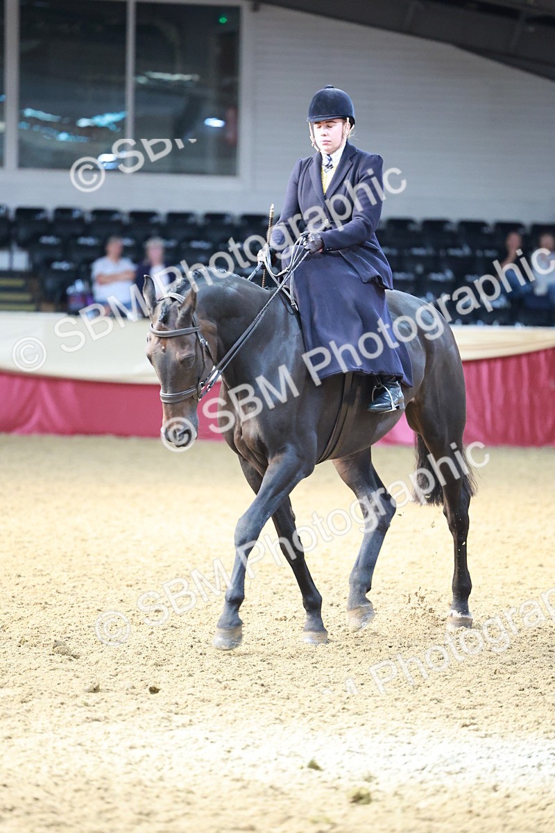 SBM_11942 - Class 102 - Equitation (Best Rider) Adult