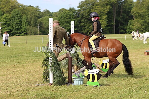 IMG_2178 - Working Hunter
