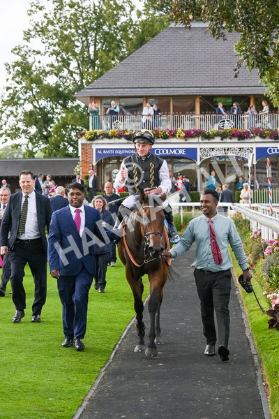 230824-Race 7-Treasure Time-0249 - Race 7 5.20pm Sky Bet Mile Handicap