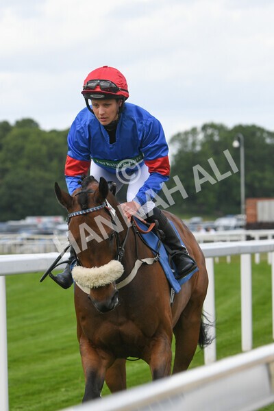 yr11062022r2-11 - Race 2 2.00pm Queen Mother's Cup
