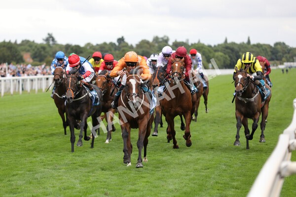 yr17082022r7-23 - Race 7 5.20pm Sky Bet Nursery Handicap