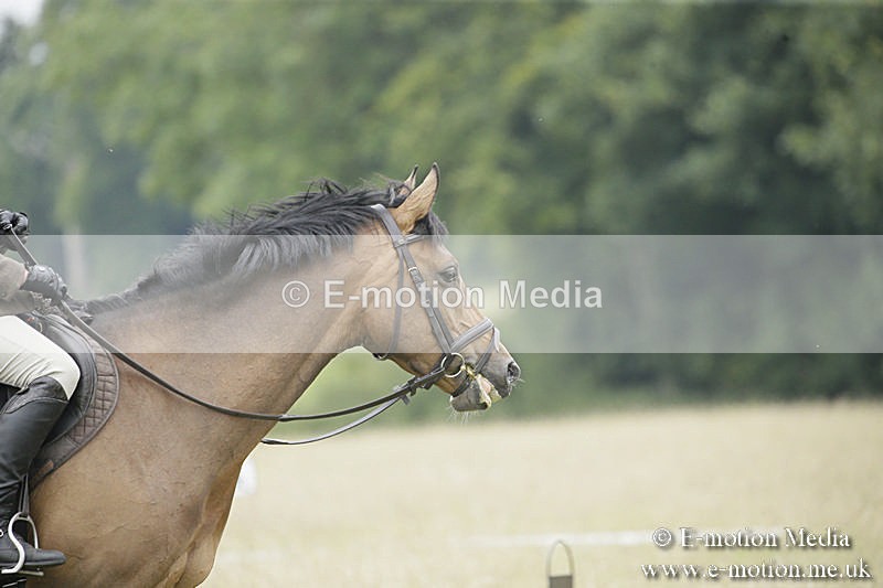 B230619-0630 - Bourne Valley Riding Club Summer Show 23/06/19
