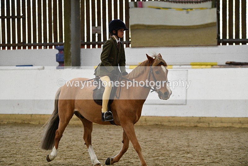 WJ5_6234 - Class 9 Ridden Veteran