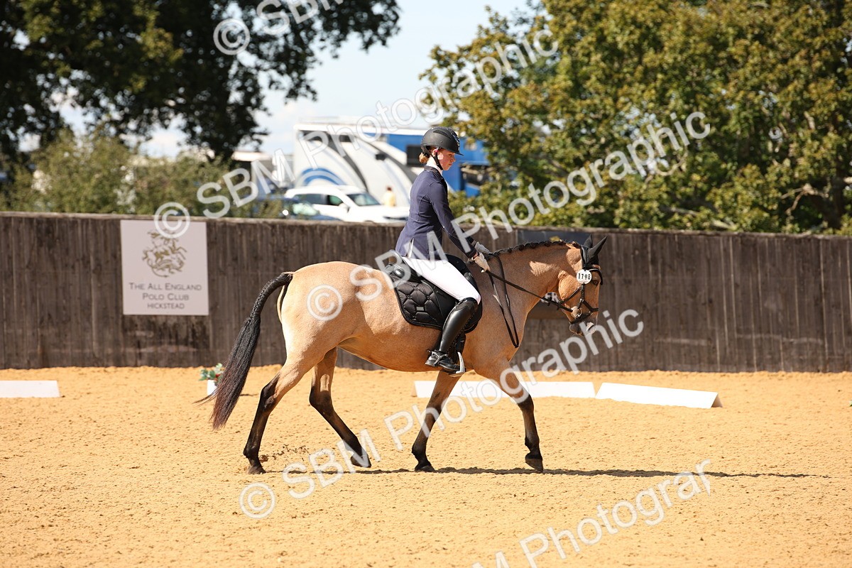 SBM_24150 - D5 - Small Tour Championship - Intro C
