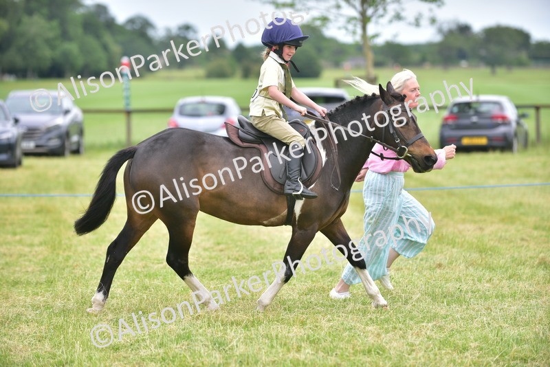20260614-2697 - Class 13 - Pony Club Pony