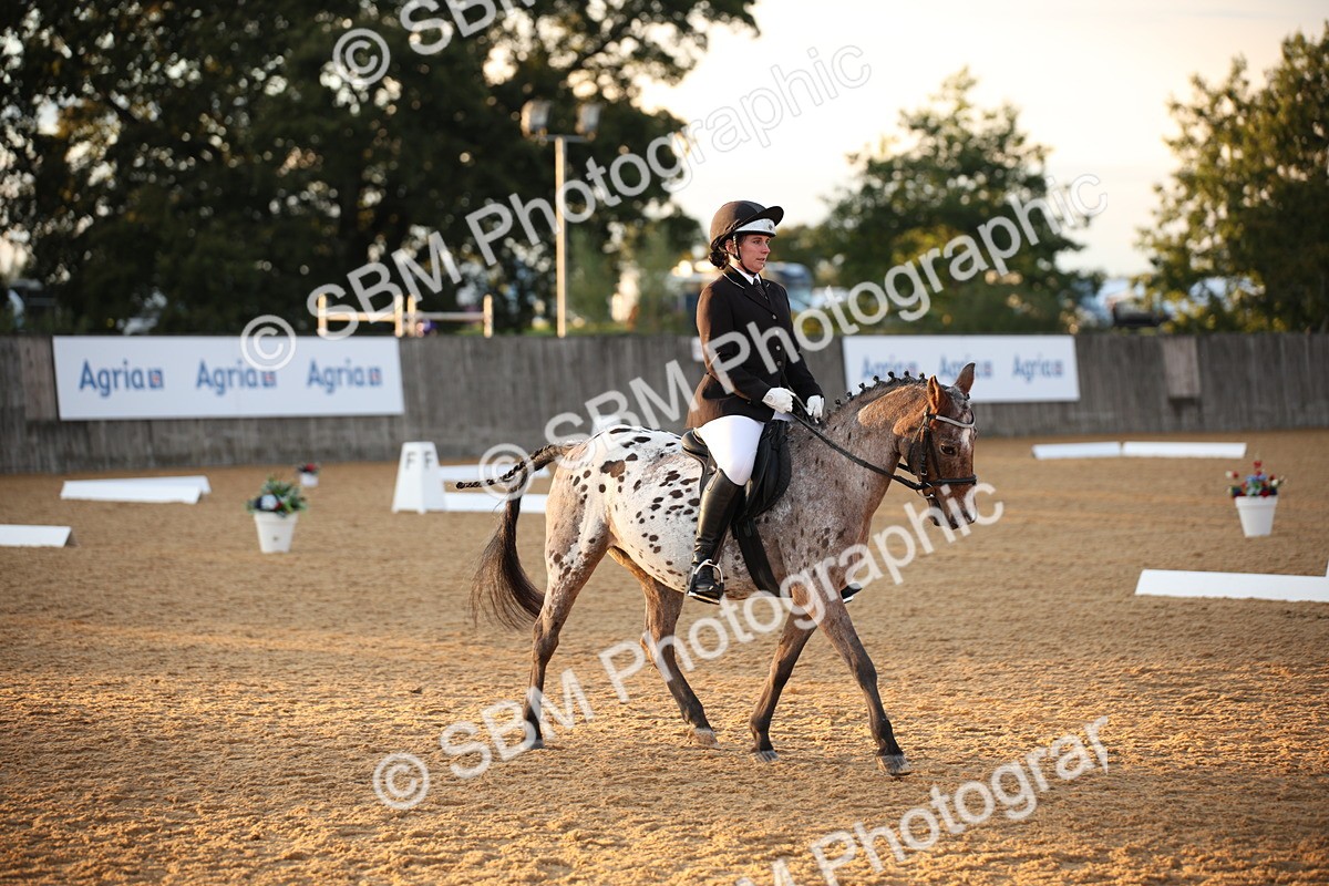 SBM_13350 - D3 Small  Tour Championship Intro A