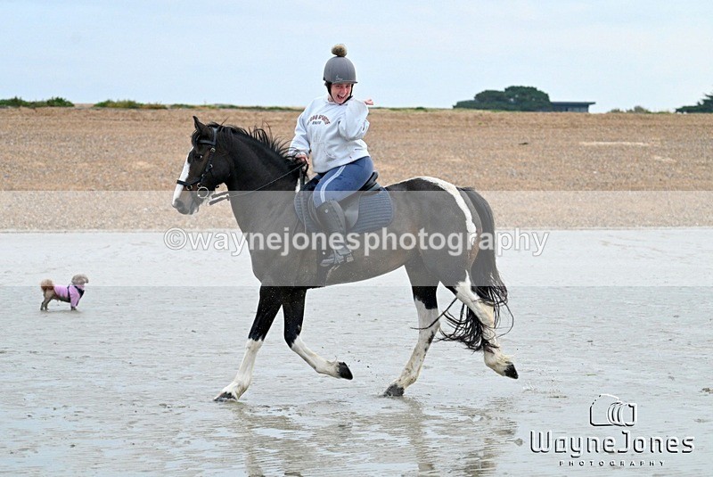 WJ7_8750 - Hayling Island Beach Shoot 22-09-24