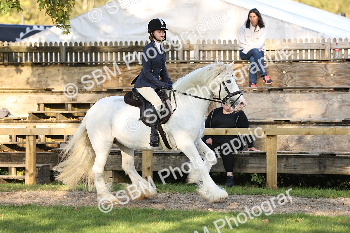 SBM_29582 - S7 - Novice & Newcomers Ridden Pony