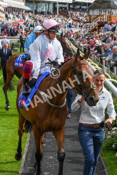 260823-Race 4-Absurde-0592 - Race 4 Sky Bet Ebor Handicap