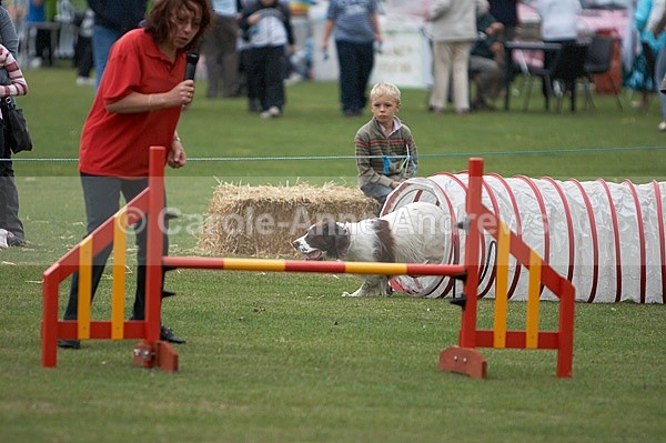  - Tendring Agility Group- St Osyth Summer Fete