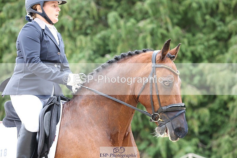 230812-142738-04424 - Cls 5 Novice Bronze 13.40 to 14.45 break