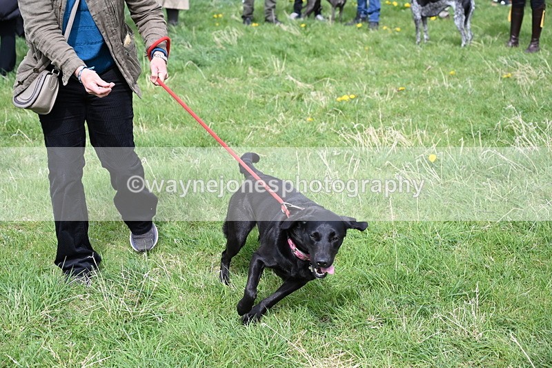 WJ6_8339 - Class 4 Prettiest Bitch