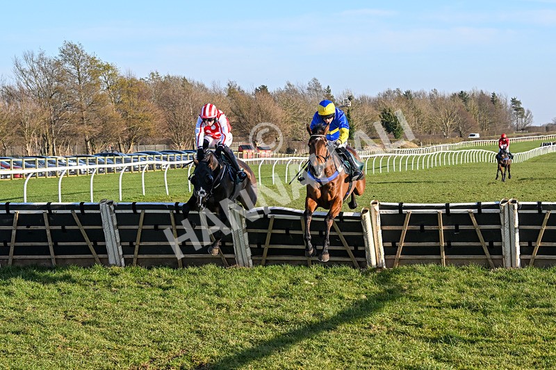 050325-Race 4-Hostile Hotelier-9872 - Race 4