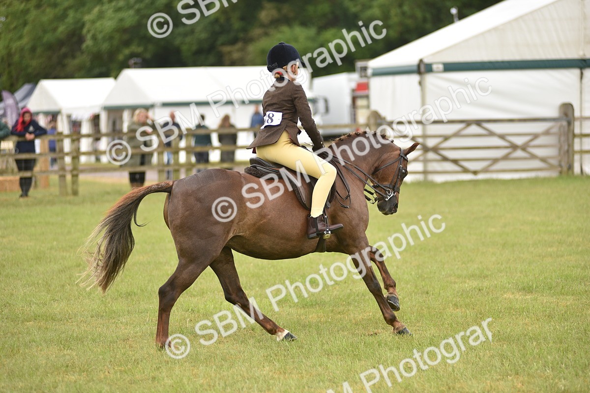 SBM_12049 - Class 110-112 - LIHS BSPS Performance Pones