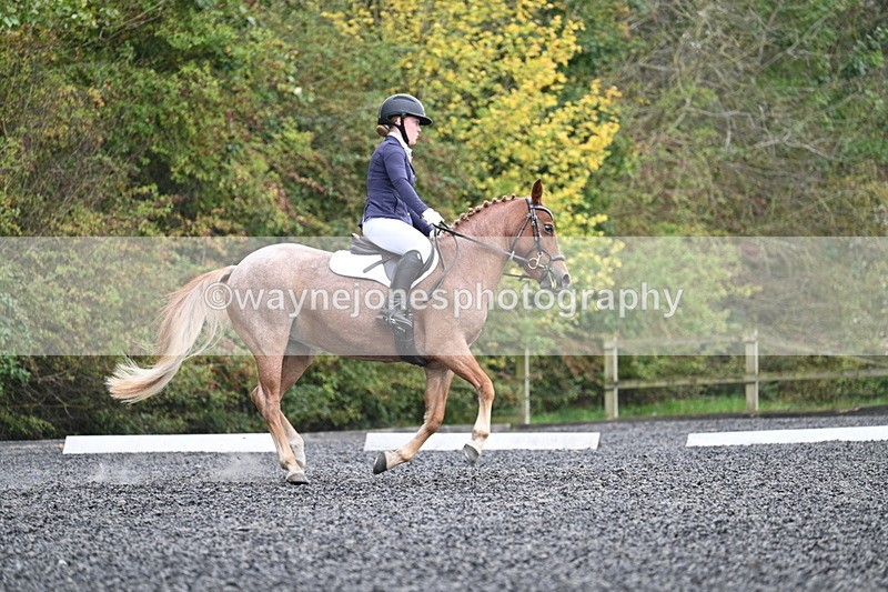 WJ7_3724 - Time 11:04 to 11:38