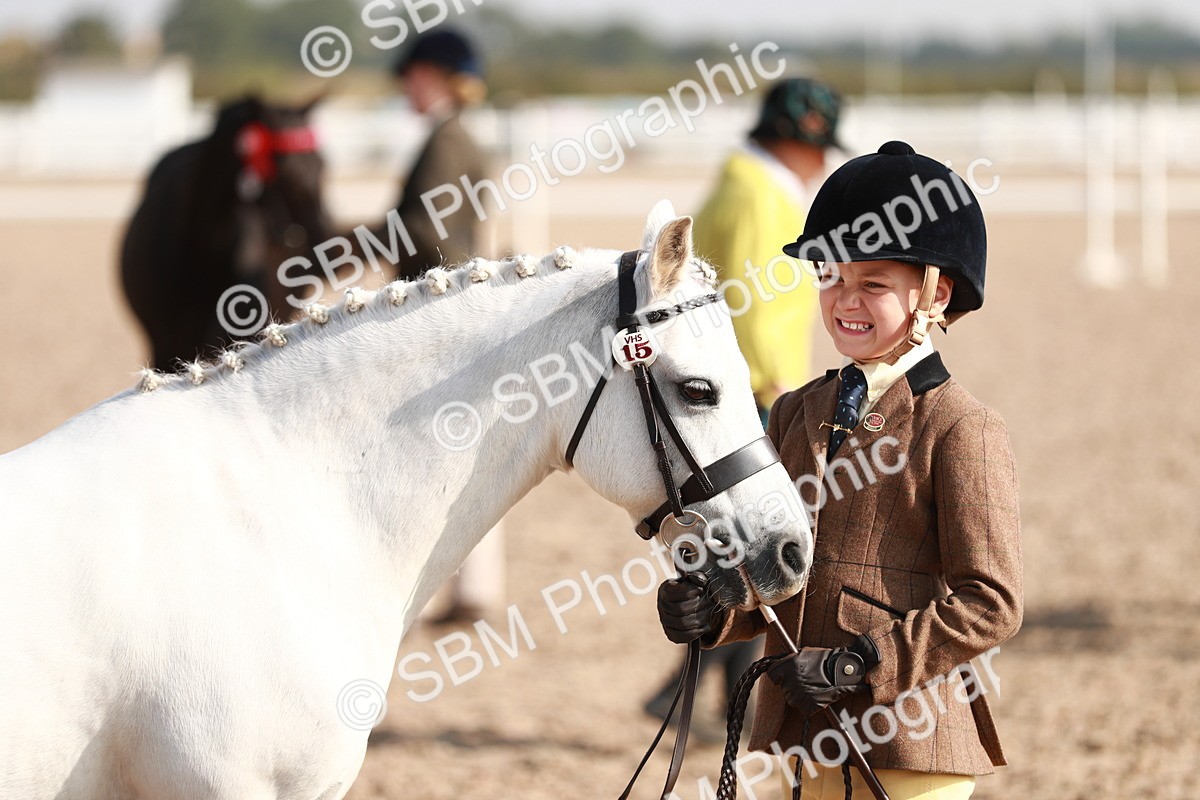 SBM_11070 - Class 205 IH Show Pony/ Show Hunter Pony