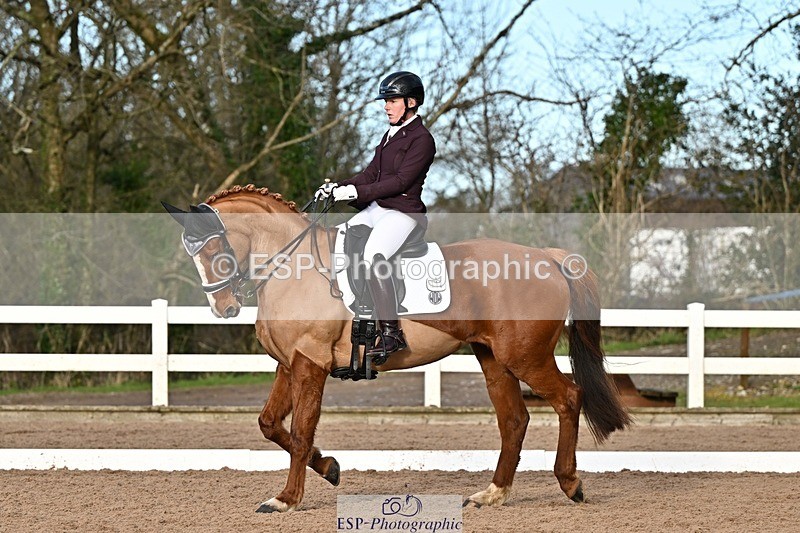 241214-133907-02525 - 112-kelly.jewell-Avalon