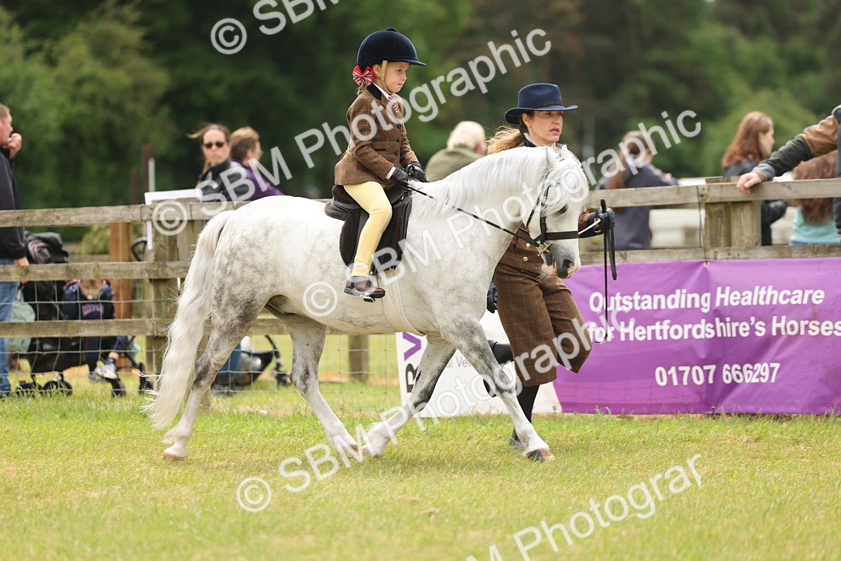SBM_06697 - Class 74-75 - M&M Lead Rein and First Ridden Pony