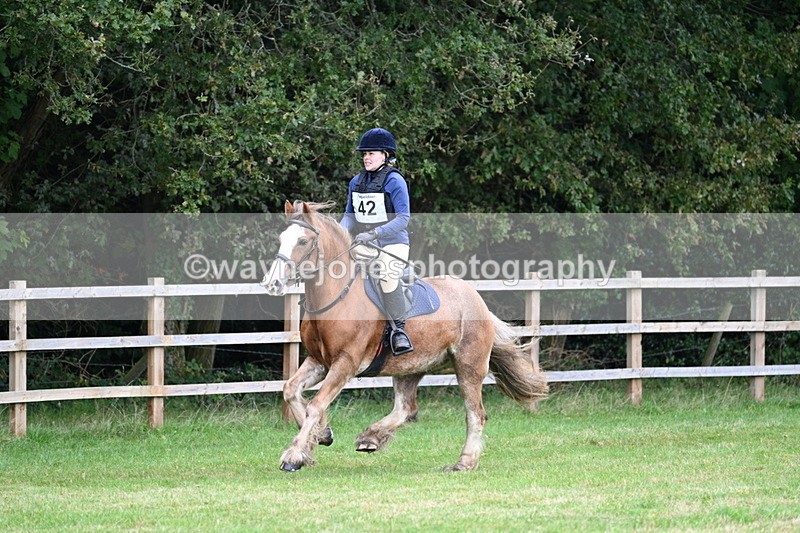 WJ7_7696 - 40cm Time 10:49 to 11:18