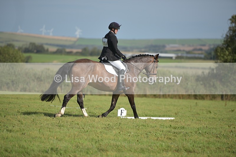 RAY_8030 - Class 2B: Trekenning Open: Dressage