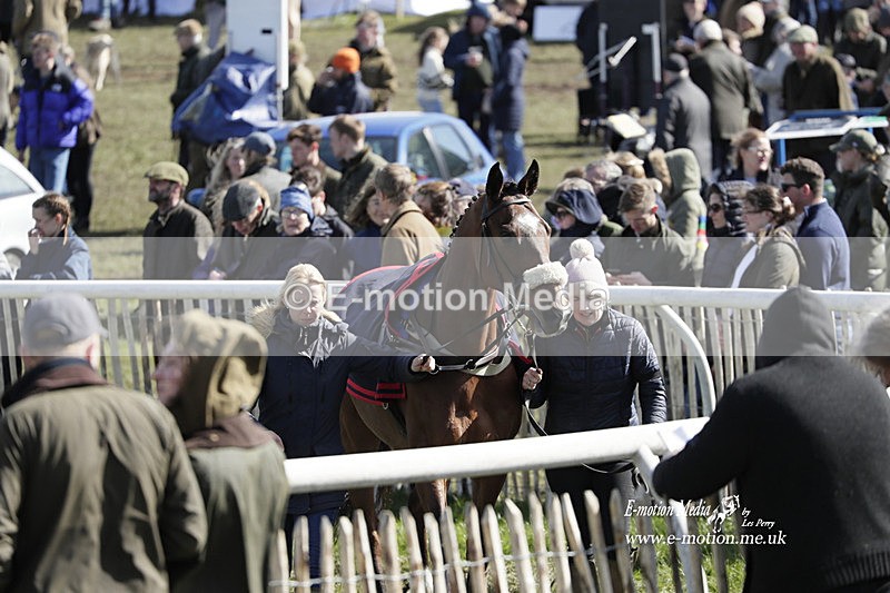 PtP 100423 688 - Old Berkshire Point-to-Point Lockinge 10/04/23