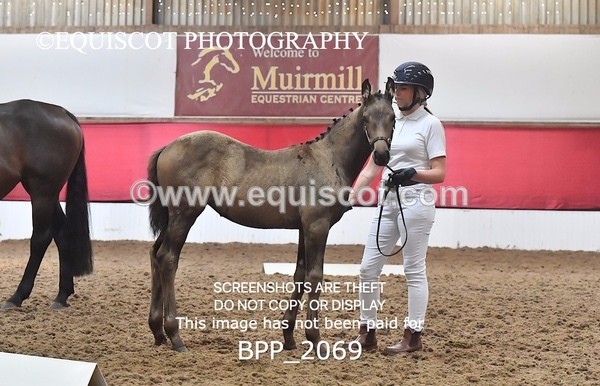 BPP_2069 - AFTERNOON 12.30 - 3.30PM