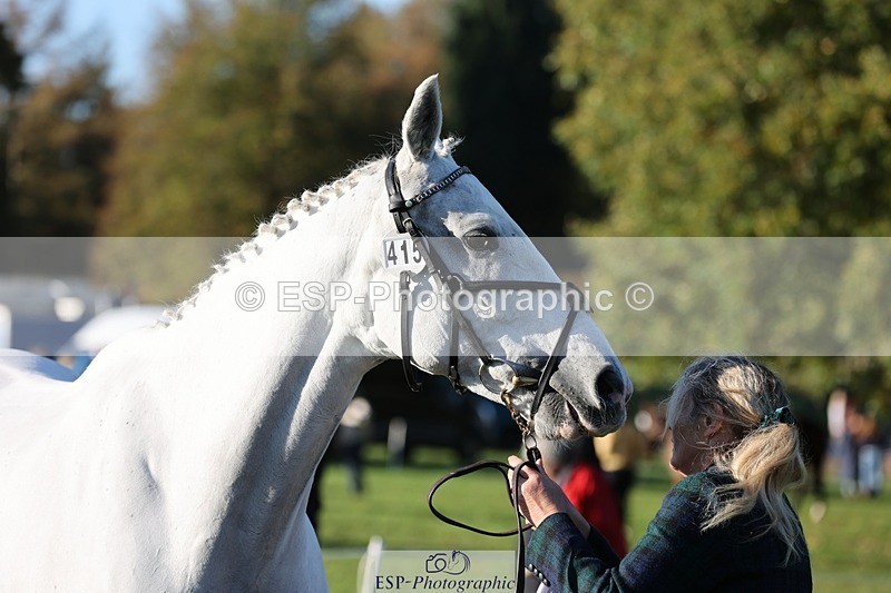 241027-090838-15066 - 415-Tanya.Nevile-IRISH.LENNIE