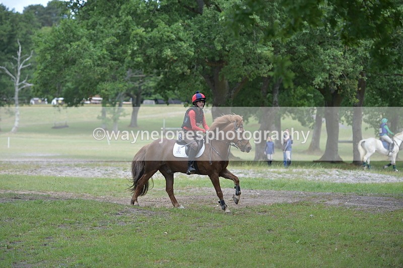 NGP_6744 - Time 10:50 to 11:00