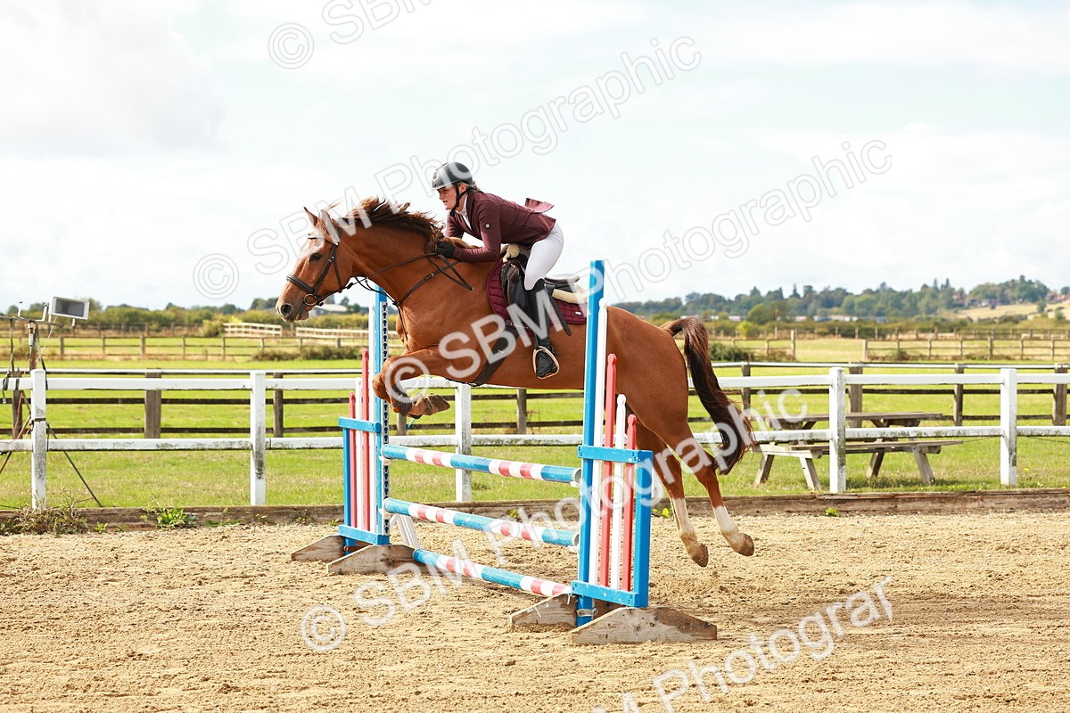 SBM_000446 - Class 2 - Senior British Novice - 90cm