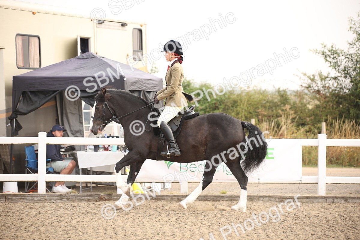 SBM_09715 - Class 401 Riding Club Pony