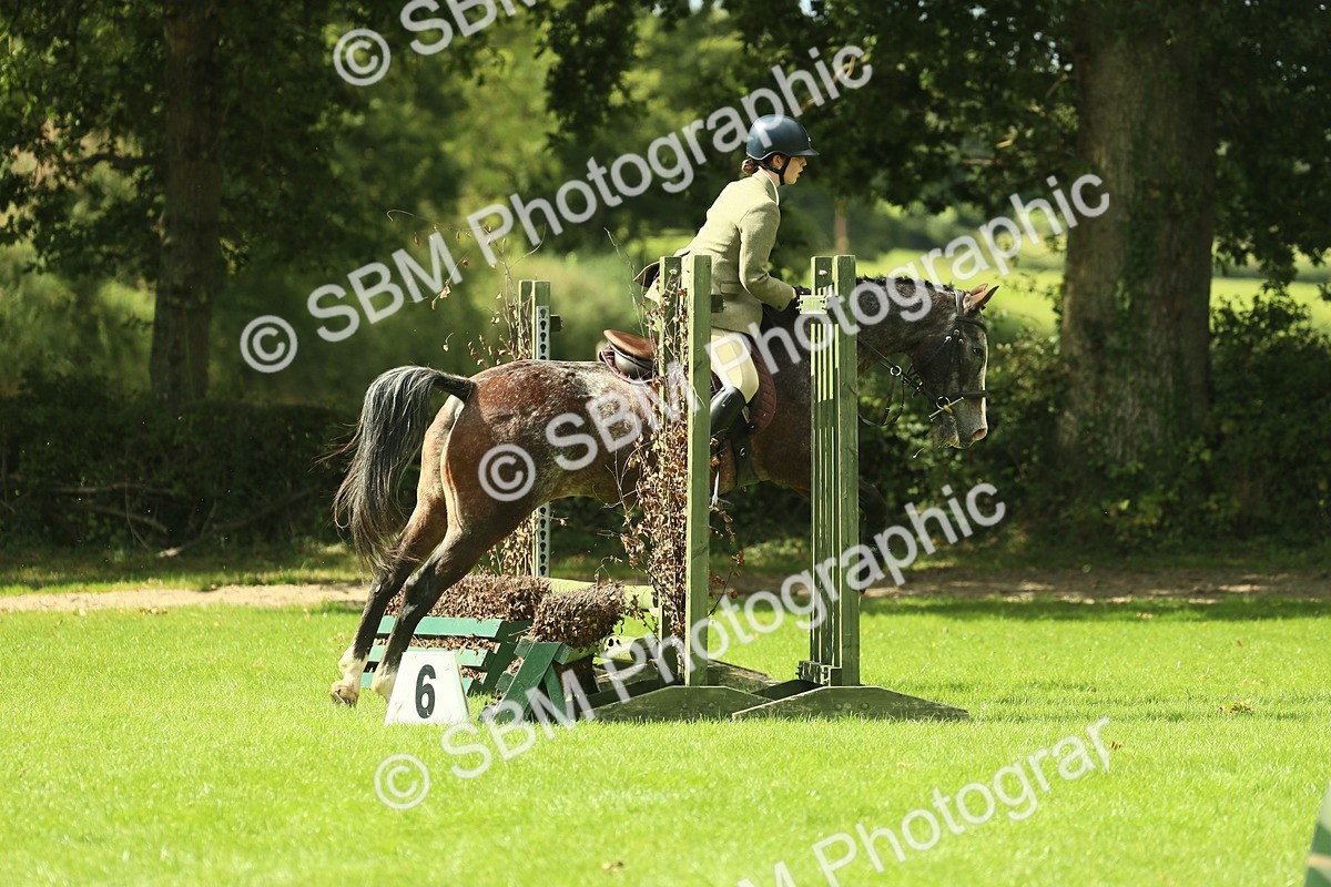 SBM_42139 - S29 - Novice & Newcomers Working Hunter Pony